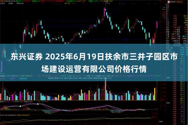 东兴证券 2025年6月19日扶余市三井子园区市场建设运营有限公司价格行情